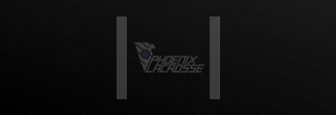 Phoenix website updated