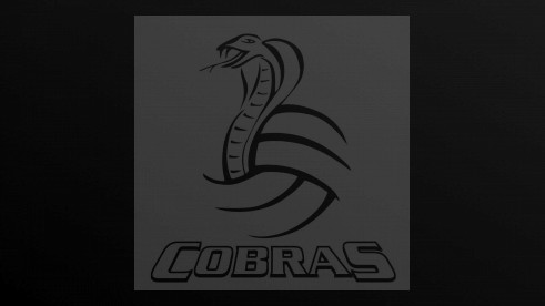 Clydebank Cobras joins Pitchero!