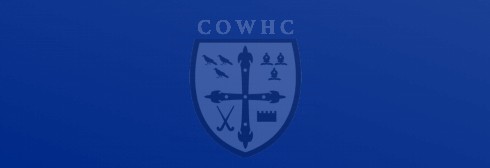 COWHC LADIES 1st XI END OF SEASON SUMMARY – MARCH 2016