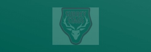 Regular season ends with victory for Surrey Stags