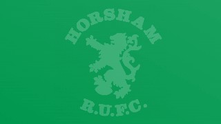 H Cup Win for Horsham U10's B squad