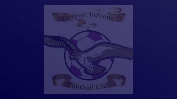 Gosport Falcons Shirt Sponsorship