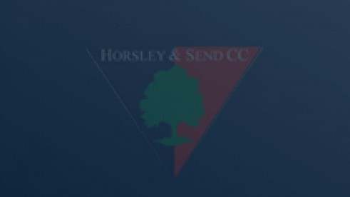 Coaching Vacancies at Horsley and Send CC