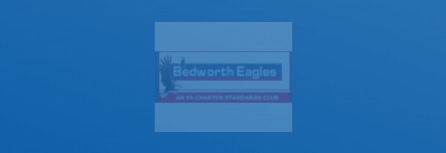 Bulkington Sports 3-4 Eagles u13