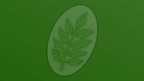 Another Fixture this Saturday 20th December