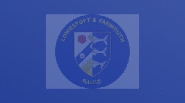 UNDER 9S DEVELOPEMENT FESTIVAL DISS