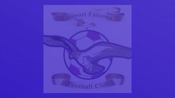 Gosport Falcons Ladies joins Pitchero!