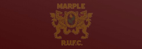 New season  for Marple Rugby Minis, Juniors and Colts