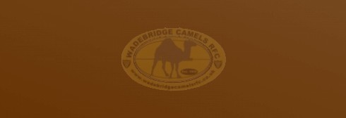 Camels v's Cornish