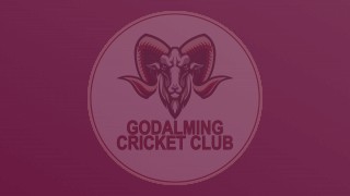 Godalming Ladies Cricket Match - 12 August vs Epsom at home - 2pm start
