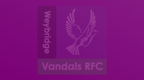 Physiotherapy on Vandals Website