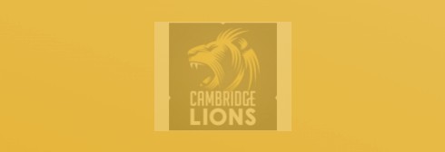 Lions in the final