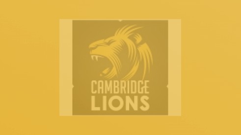 Lions in the final