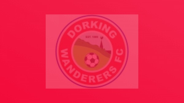 Dorking Wanderers v East Preston