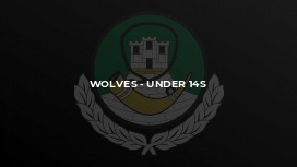 Wolves - Under 14s