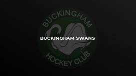 Buckingham Swans
