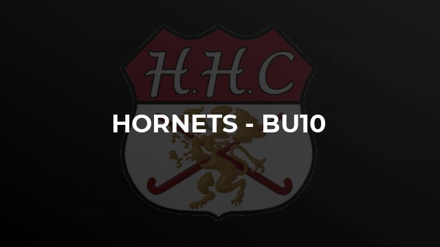 Hornets - BU10