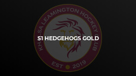 S1 Hedgehogs Gold