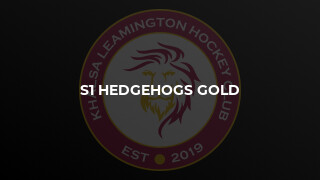 S1 Hedgehogs Gold