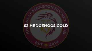 S2 Hedgehogs Gold