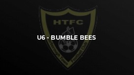 U6 - Bumble Bees