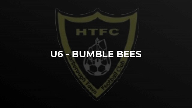 U6 - Bumble Bees
