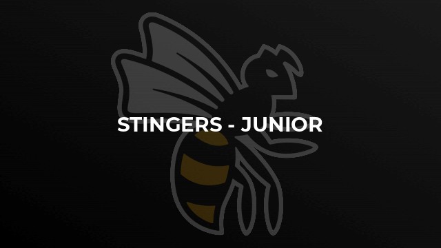 Stingers - Junior