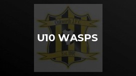 U10 Wasps