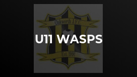U11 Wasps