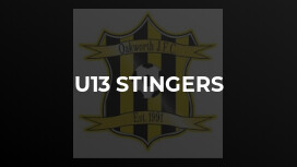 U13 Stingers