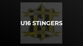U16 Stingers