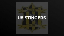 U8 Stingers