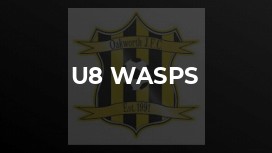 U8 Wasps