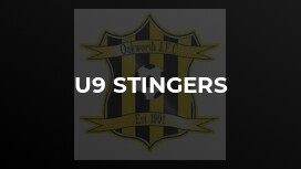 U9 Stingers