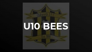 U10 Bees