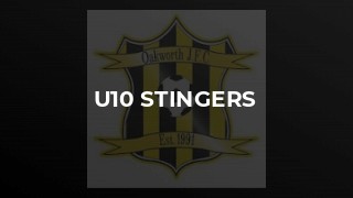 U10 Stingers