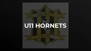 U11 Hornets