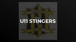 U11 Stingers