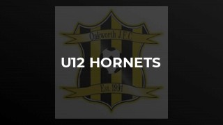 U12 Hornets