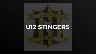 U12 Stingers