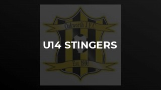 U14 Stingers