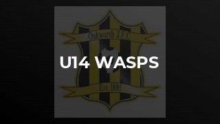 U14 Wasps