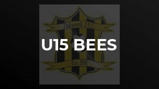 U15 Bees