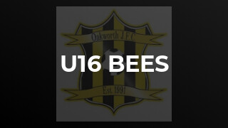 U16 Bees