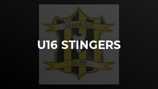 U16 Stingers