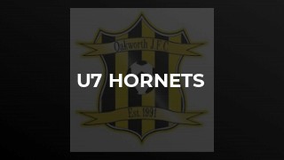 U7 Hornets