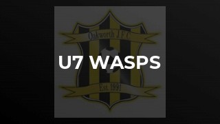 U7 Wasps