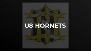 U8 Hornets