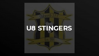 U8 Stingers