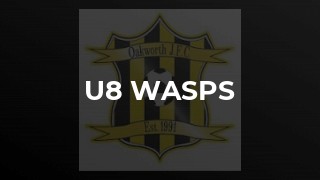 U8 Wasps